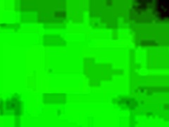 Post-Shower POV Pound