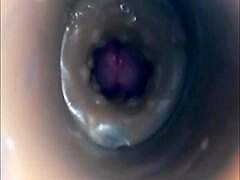 Internal Camera View