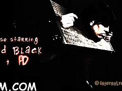 Torment chamber fucking