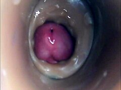 Internal Camera View