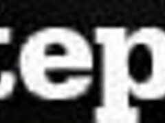 Cougar Backseat Railing