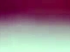 amateur creampie lovers