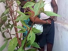 Roommate Blowjob Session