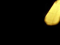 Naked Shower Bathing