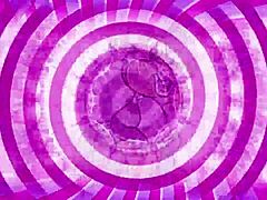 Sissy Training Session