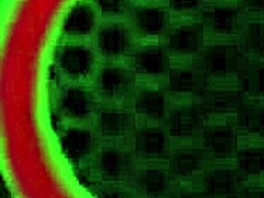 Lesbian Bath Intensity