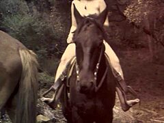 lantern entertainment