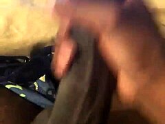 Morning Wood Craving