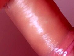 college blowjob fame