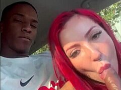 Roadside Cum Swallow