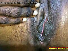 Neighbor Hardcore Pound