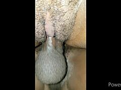 New Year Pussy