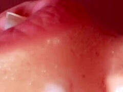 Uncensored Blowjob