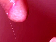 Uncensored Blowjob