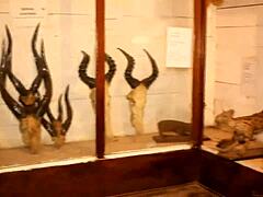 African Adultery Fuck