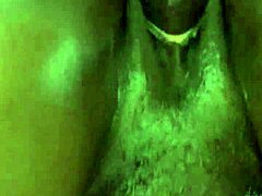 tiny doggystyle pound