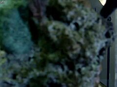 arabic femme fatales