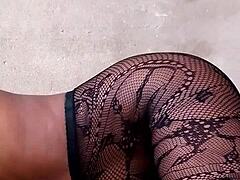 Creampie Spread