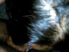 pumslayer sloppy strike