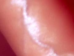 日本人妻中出しイキ