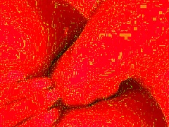 Anal Fisting Blowjob