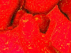 Anal Fisting Blowjob