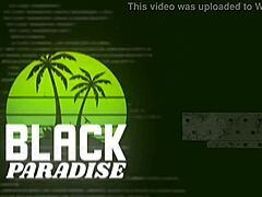 black ass destruction