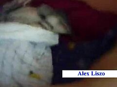 Peruvian Doggy Pound