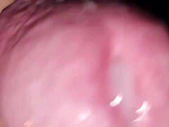 Orgasm Cum Blast