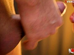 Creampie Compilation