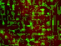 hungarian anal gaping