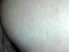 Primer Anal Creampie