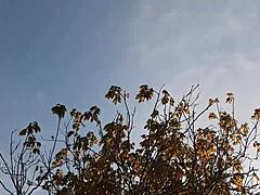 neighbor cunnilingus thanks