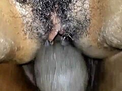 anal assfucking