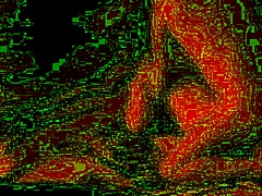 homemade wedding fuck