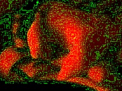 homemade wedding fuck