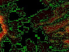 homemade wedding fuck