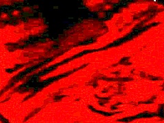 homemade wedding fuck