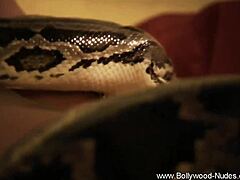 Seductive Dance Tease