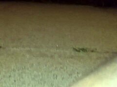 anal holiday recovery