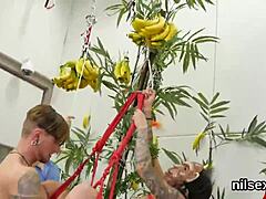 butthole asylum treatment