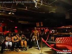 monster cock swallow