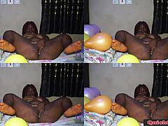 Studio Student Doggy