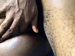 Amateur Swallows BBC