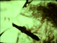 Victorian Interracial