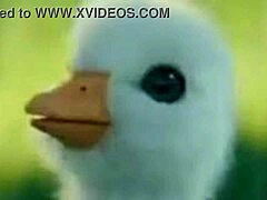 Creampie Interview