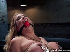 bound creampie pornstar