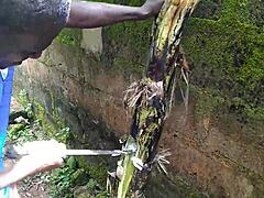 Garden Plantain Fuck