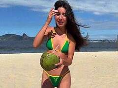 Brazilian Beach Swallow