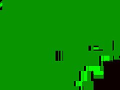 Desert Anal Training